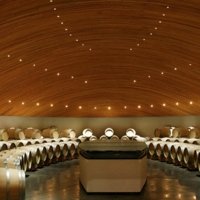 Clos Apalta Winery
